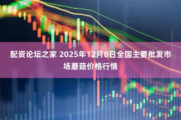 配资论坛之家 2025年12月8日全国主要批发市场蘑菇价格行情
