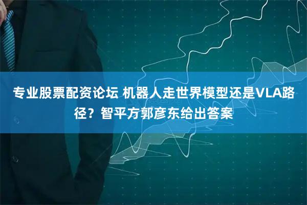 专业股票配资论坛 机器人走世界模型还是VLA路径？智平方郭彦东给出答案